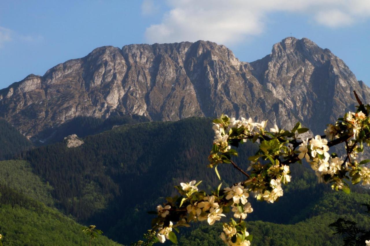 Willa Danuska Poronin Dış mekan fotoğraf